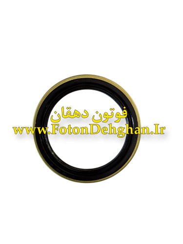 کاسه نمد سگدست فوتون تونلند
