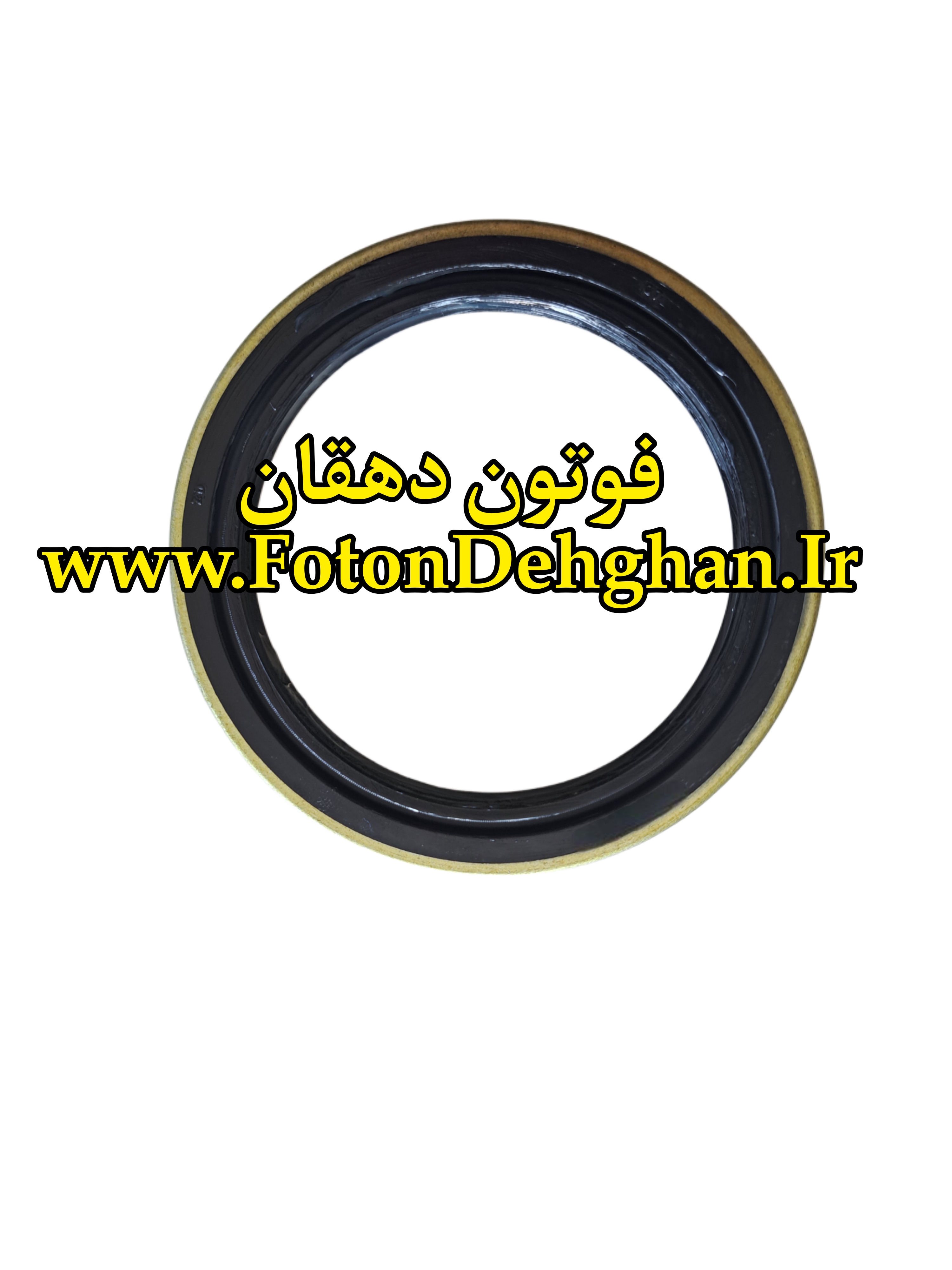کاسه نمد سگدست فوتون تونلند