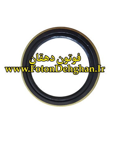 کاسه نمد سگدست فوتون تونلند